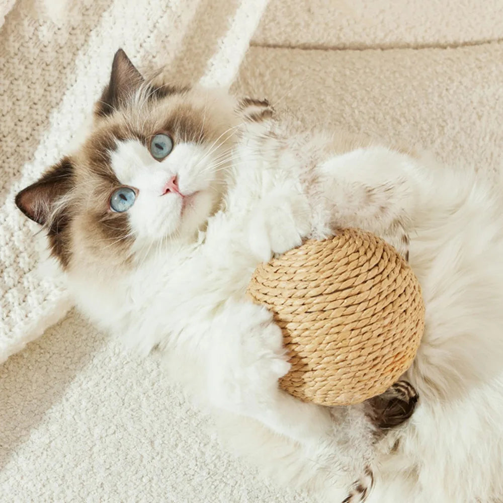 Interactive 10cm Sisal Cat Scratching Ball – Teeth-Cleaning, Anti-Bite Sound Toy for Kittens & Cats
