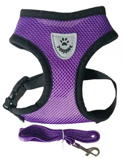 Adjustable Cat & Dog Harness with Lead – Breathable Mesh Vest with Reflective Stripes for Small to Medium Pets
