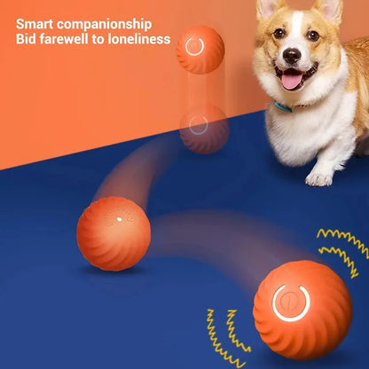 Automatic Moving Dog Toy Ball – USB Rechargeable, Smart Interactive Chew & Bouncing Ball for Puppies and Dogs