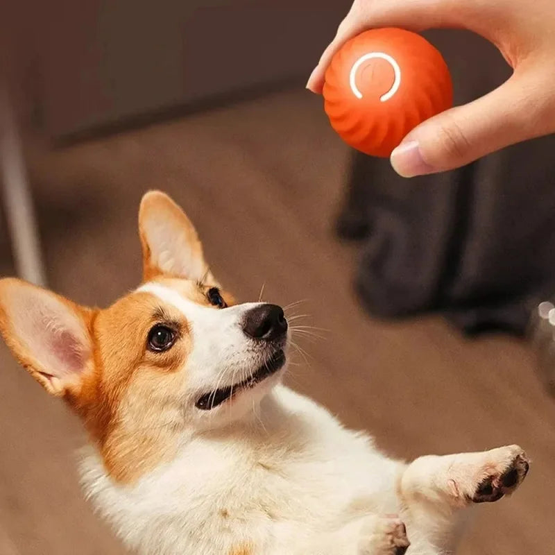 Automatic Moving Dog Toy Ball – USB Rechargeable, Smart Interactive Chew & Bouncing Ball for Puppies and Dogs